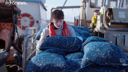 Shellshocked by the COVID crisis, mussel farmers find a lifeline in premium retail