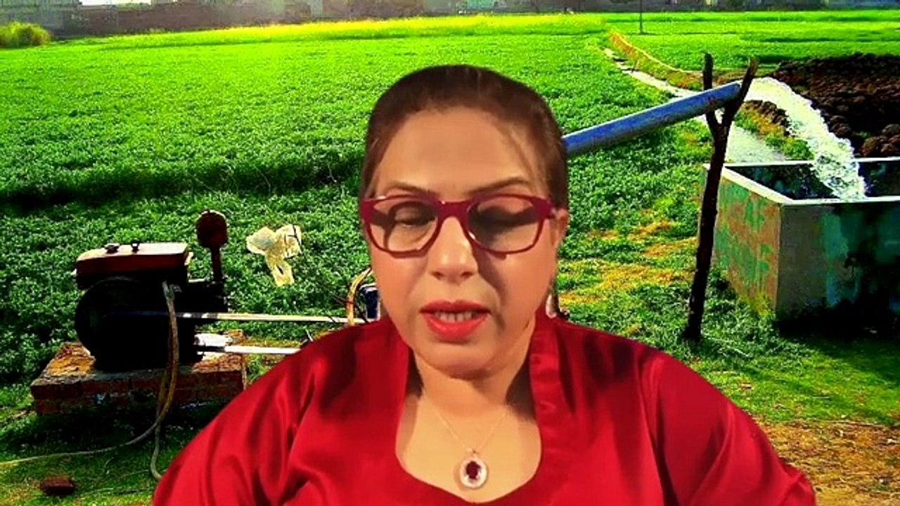 An Interview on gimmi tv