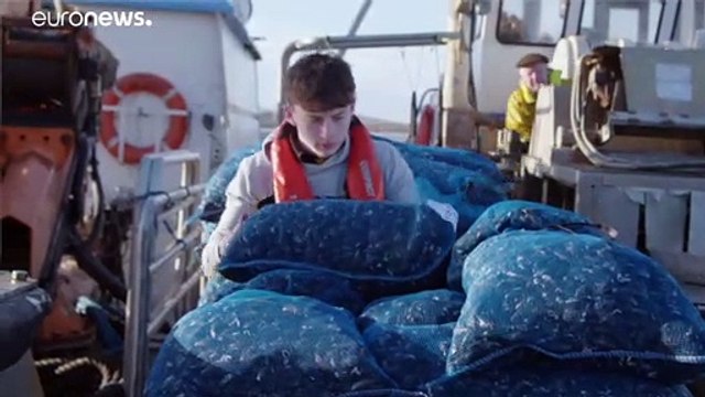 Аквафермеры ЕС: рецепт выжить в кризис