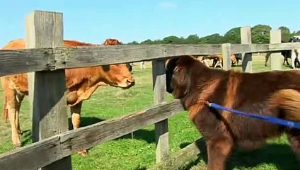 Deadly 60 S02E16 Romania