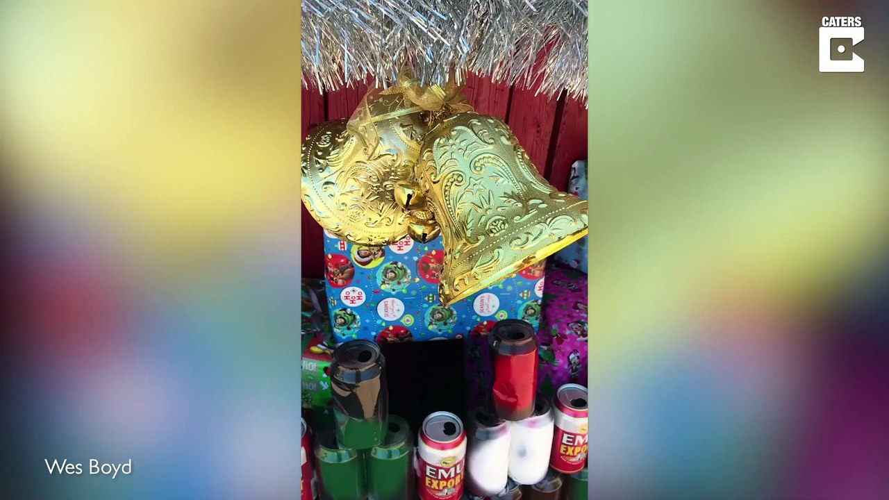 Arbre de Noël d'un fan de bière... à base de 5000 canettes