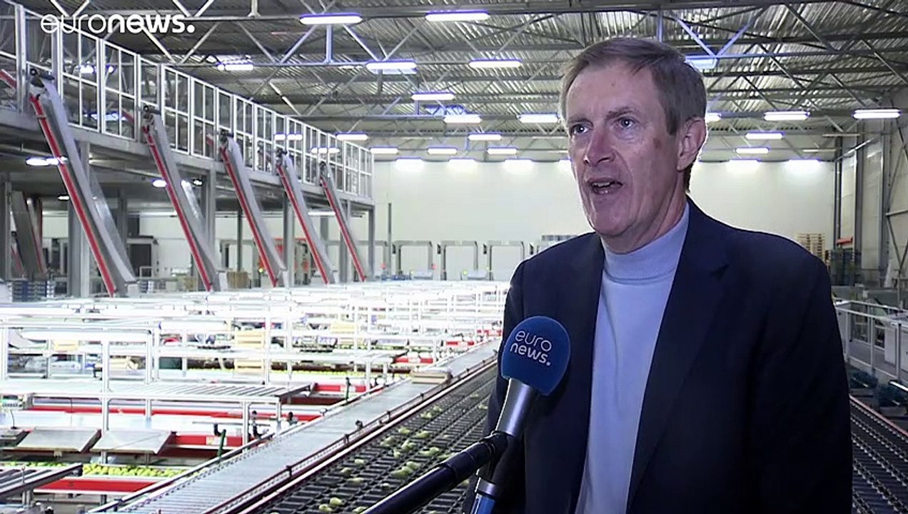 Belgiens Obstbauern und die Angst vorm harten Brexit