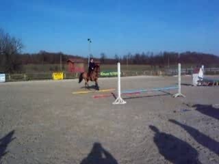 Alexa et Flèche barres gym chez Tony #5