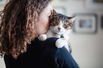 Study Shows Cats May Love Their Pet Parents More Than We Thought