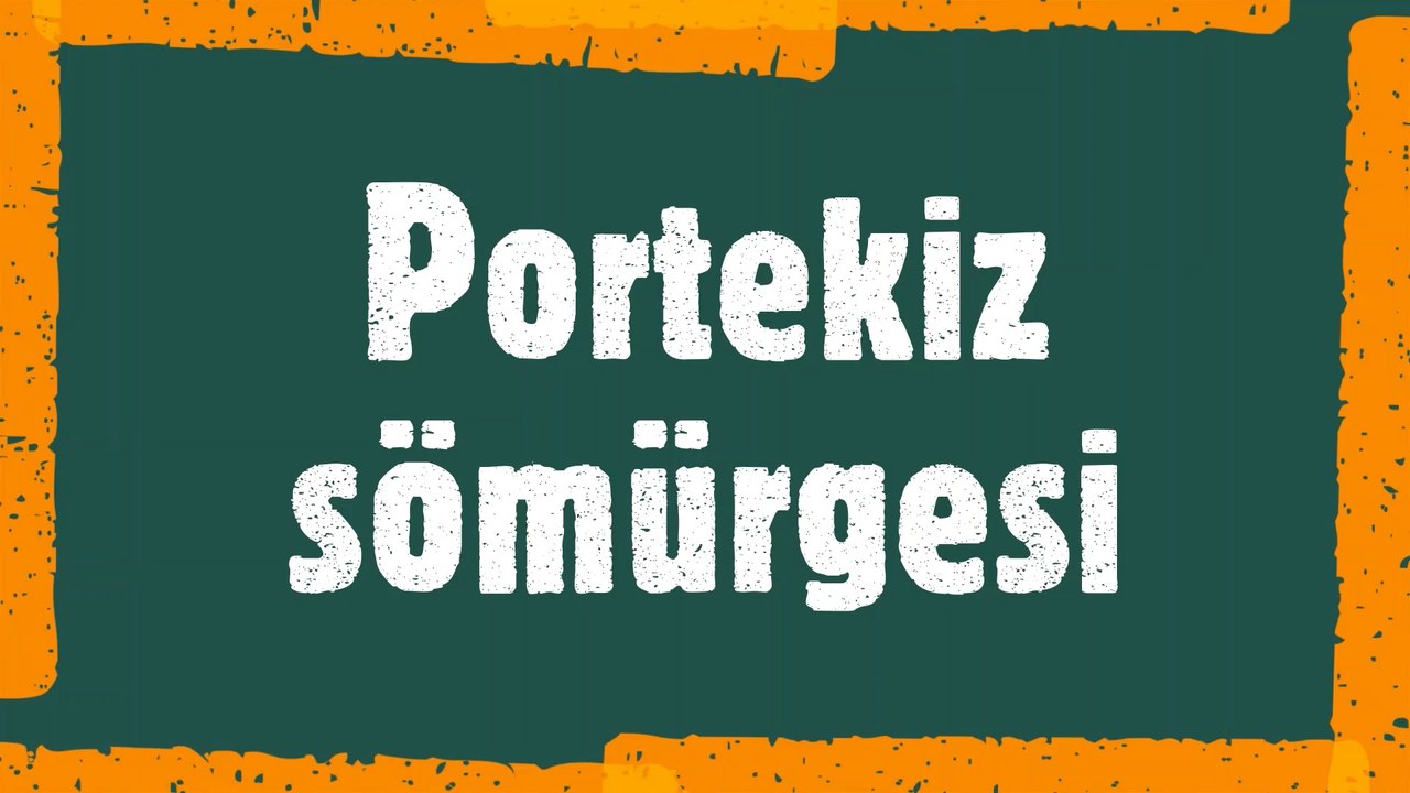 Portekiz Sömürge Siyaseti |