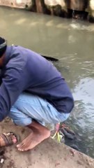 Kind Men Rescue A Drowning Puppy