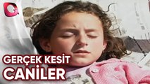 GERÇEK KESİT - CANİLER