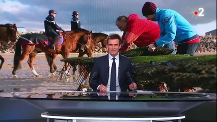 Noël : surveillance renforcée auprès des huitres