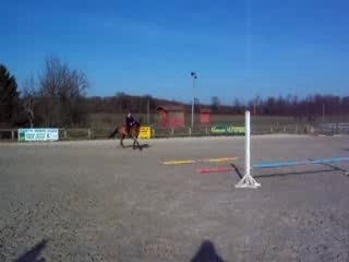 Alexa et Flèche barres gym chez Tony #6