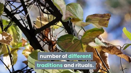 What is the Winter Solstice