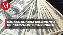 Reservas internacionales crecen 101 mdd: Banxico