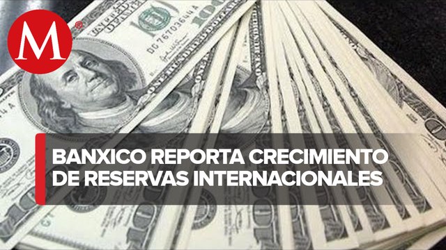 Reservas internacionales crecen 101 mdd: Banxico