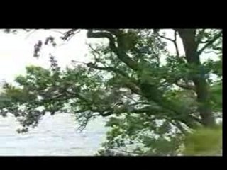 Runrig - Hearts Of Olden Glory