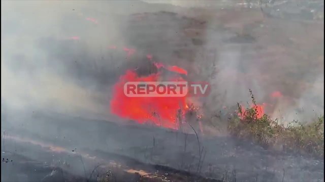 Fushë Krujë/ Zjarr i fuqishëm te kodrat e fshatit Derven! Rrezikohen disa banesa