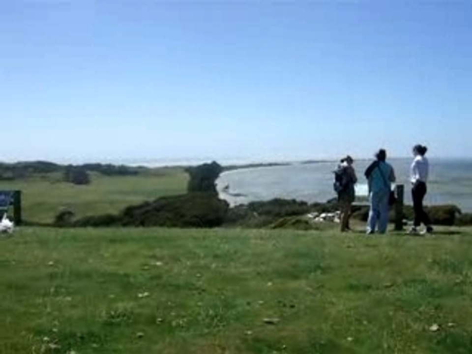 farewell spit