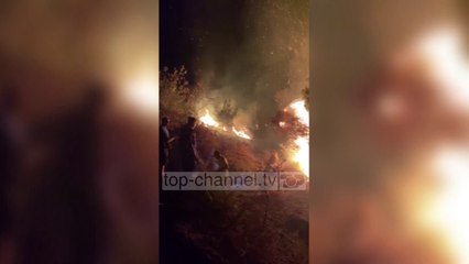 Pamje të rralla/ Ullinjtë shekullor digjen në fshatin Sinaballaj, banorët prej orësh luftë me flakët