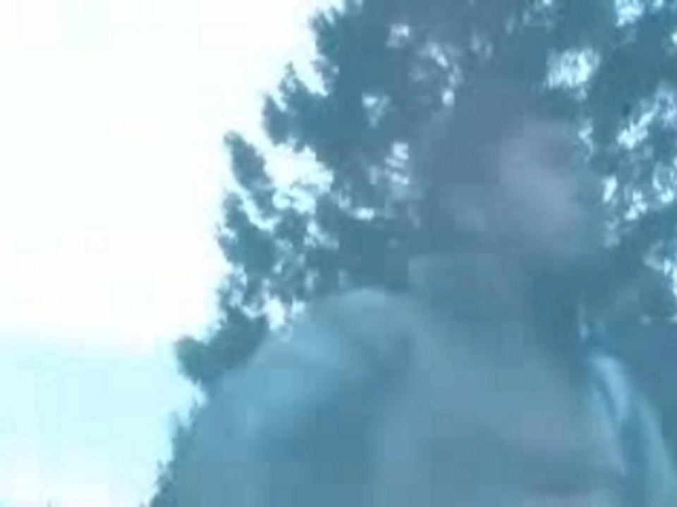 Prezentare specializare Informatica Economica FEAA UAIC IASI