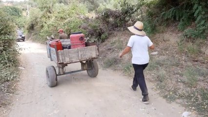 Shkrumbohen ullinjtë shekullorë/ Rrogozhinë, zjarrfikëset nuk ndërhyjnë për shkak të terrenit