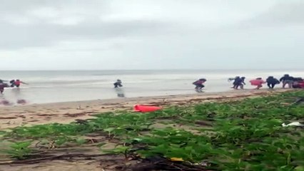 Appeal Court Blasts Seepersad