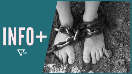 INFO+ / Qeveria franceze nxjerr burgun në ankand - Vizion Plus