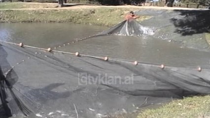 Mungesa e investimeve ne sektorin e peshkimit - (22 Tetor 2000)