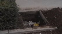 Pemet e reja tek rruga e “Kavajës” - (22 Tetor 2000)