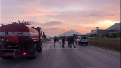 Top News - Udhëtonte me kale/ Përplaset për vdekje 70 vjeçari