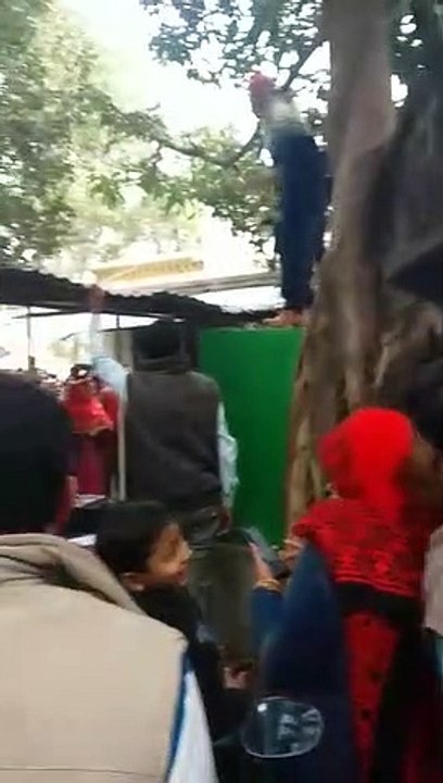 2 लाख रुपयों से भरा बैग लेकर पेड़ पर चढ़ा बंदर, फिर एक-एक करके नोट नीचे फेंका