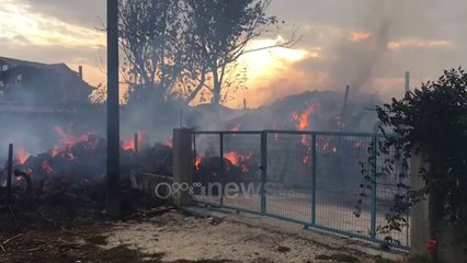 Ora News - Fier, hambari përfshihet nga flakët, në rrezik banesat aty pranë