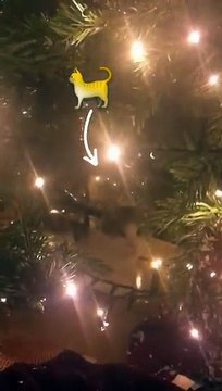 Αγγελική Νικολούλη: Βίντεο με το χριστουγεννιάτικο δέντρο στο σπίτι της