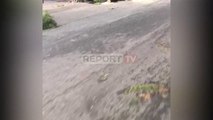 Report TV -Erërat e forta thyejnë pemët në Shkodër