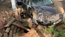 Ora News - Stuhia në Shkodër, dhjetra makina u zunë poshtë nga pemët e shkulura nga asfalti