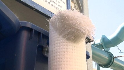 Top News - Mikrob vdekjeprurës në ujë, alarmohen qytetarët në Teksas