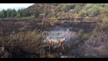Report TV - Vlorë/ Zjarr i madh gjatë në Zvërnec! Evakuohen banorët! Flakët përfshijnë varrezat