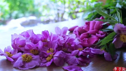 Picking out blooming flowers to make aromatic dew