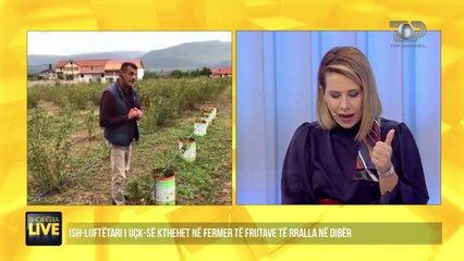 Ish-luftëtari i UÇK-së, sot është fermer frutash të rralla - Shqipëria Live, 28 Shtator 2020