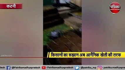 गुड़ की खेती से जिंदगी में घुल रही मिठास