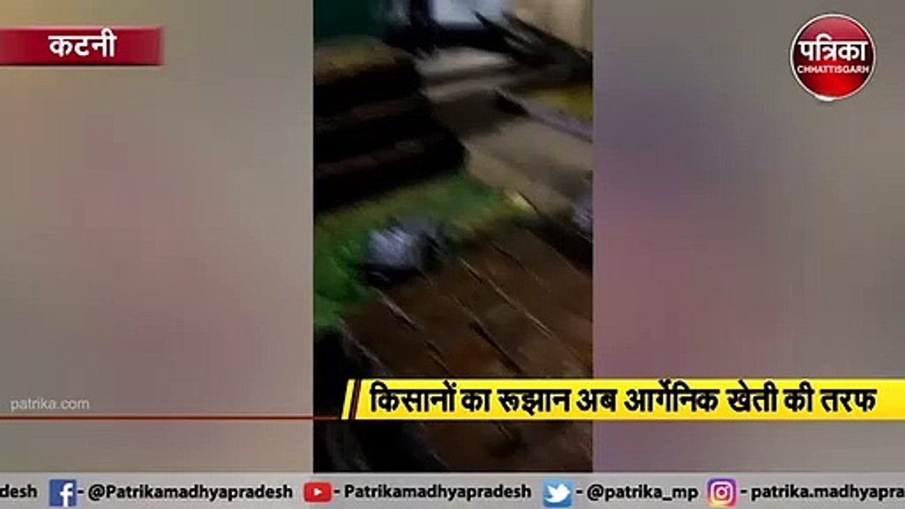 गुड़ की खेती से जिंदगी में घुल रही मिठास