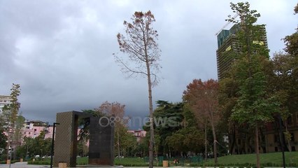 Ora News - Parkut “Rinia” i thahen pishat