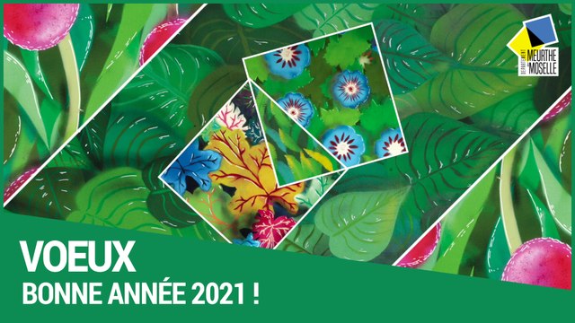 Meilleurs voeux du conseil départemental de Meurthe-et-Moselle pour l'année 2021