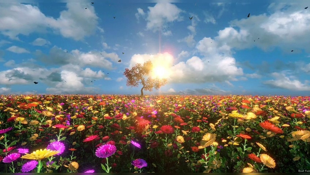 STATUS MUSIC SONG TONE status music song tone