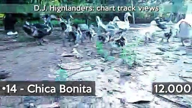 D.J. HIGHLANDERS Chart of the visualizations of all the video productions by single music track