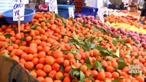 C Vitamini deposu: Mandalina, portakal, limon... Pazarın en çok satılanları | Video