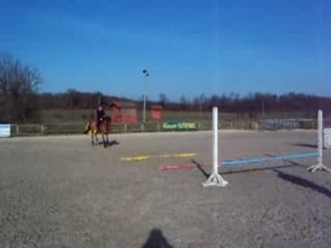 Alexa et Flèche barres gym chez Tony #7