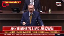 Erdoğan'dan AİHM'in Demirtaş kararına ilişkin açıklama