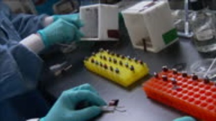 Covid-19 : les personnes asymptomatiques seraient quatre fois moins contagieuses