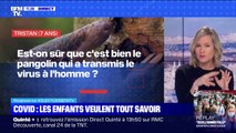 Est-on sûr que le pangolin a transmis le Covid-19 à l'Homme ?  BFMTV répond aux questions des enfants