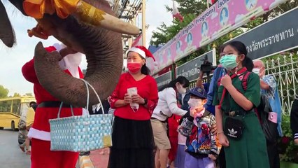 Children meet Christmas elephants as rights advocates condemn show