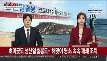 호미곶도 성산일출봉도…해맞이 명소 속속 폐쇄 조치