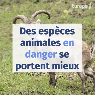 Ces 5 bonnes nouvelles que vous avez manquées en 2020